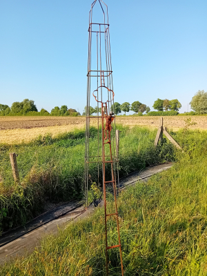 Jan Verschueren - No limits (In garden)(Ceramic, Metal, Scrap)